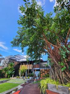 Ein Garten an der Unterkunft Baan Mai Kradan Hostel Chiang Rai