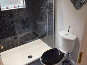 a bathroom with a toilet and a glass shower at Smiddy Cottage in Aberfeldy