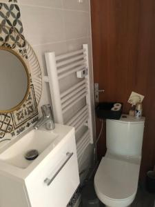 a bathroom with a white toilet and a sink at Appartement/studio in Bétheny