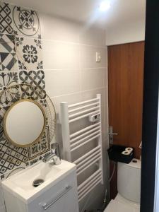 een badkamer met een wastafel, een spiegel en een toilet bij Appartement/studio in Bétheny