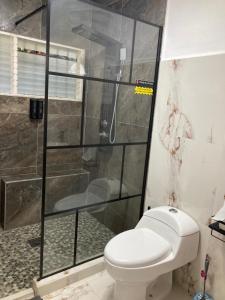 La salle de bains est pourvue de toilettes et d'une douche en verre. dans l'établissement Casa Breizh, à Acapulco