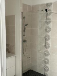 a bathroom with a shower with a shower head at LE VÉTIVER Cosy Appartement proche Aéroport in Sainte-Marie