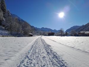 Príroda v okolí penziónu