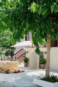 un árbol frente a un edificio con plantas en Rooms in Yard en Kórinthos