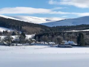 a snow covered field with a house in the background at Shenval Cottage - 28280 in Glenlivet