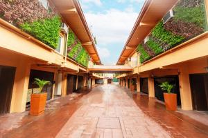 un pasillo vacío de un edificio de apartamentos con plantas en Hotel Ava Cuneta en Manila