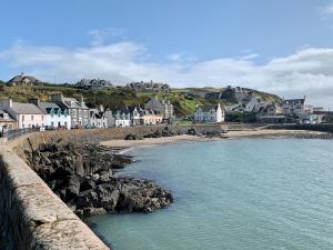 a view of a town with houses and a body of water at Saltlife Cottage in Port William