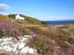 a white house on top of a hill with purple flowers at Fearnmore Church in Fearnmore