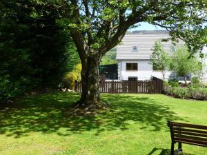 een parkbank die onder een boom in een tuin zit bij Rivendell Cottage in Fort Augustus