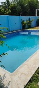 a blue swimming pool in front of a blue fence at Le Grace Kovalam in Chennai