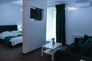 - une chambre avec un lit, un canapé et une télévision dans l'établissement Pensiunea Maya Caciulata, à Căciulata