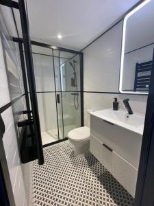 uma casa de banho com um WC, um lavatório e um chuveiro em La Maison du Pere Pilon avec petit dejeuner em Auvers-sur-Oise