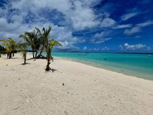 a beach with palm trees and the ocean at Dravida Hotel in Maamigili