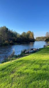 a river with a grassy field next to a body of water at Pieni omakotitalo joen rannalla in Rautio
