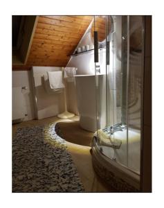 a bathroom with a glass shower and a toilet at Haus Irmgard in Zell am Harmersbach