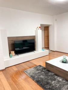 a living room with a large flat screen tv at 4 room flat with garden and pool in Kittsee