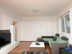 a living room with a couch and a tv at 4 room flat with garden and pool in Kittsee