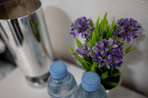 two bottles of water and a vase of purple flowers at Felicita Apartments Brcko in Brčko