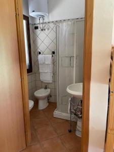 La salle de bains est pourvue d'une douche, de toilettes et d'un lavabo. dans l'établissement Agriturismo S'Ispiga, à Cuglieri