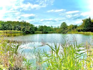 a view of a lake with trees and clouds at GastRoom Am Seefeld in Grafing
