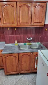 - une cuisine avec des placards en bois et un évier dans l'établissement Apartman Anna, à Kragujevac