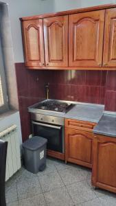 - une cuisine avec des placards en bois, une cuisinière et une poubelle dans l'établissement Apartman Anna, à Kragujevac