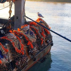 a bird sitting on the side of a boat with nets at Hotel Le Trouville in Trouville-sur-Mer