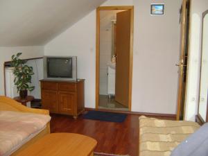 TV a/nebo společenská místnost v ubytování SOBE I APARTMANI HADZICI RENT rooms apartments