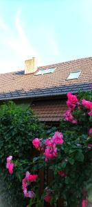 Zahrada ubytování Apartmán UšeBu