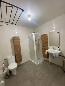 La salle de bains est pourvue de toilettes, d'une douche et d'un lavabo. dans l'établissement Appartement cosy climatisé dans résidence fermée, à Sarrola-Carcopino