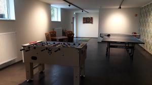 Stolní tenis v ubytování Villa Franzen nebo okolí