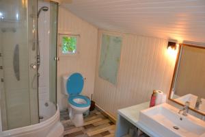 ein Bad mit einem WC, einem Waschbecken und einer Dusche in der Unterkunft maison atypique cosy Disneyland Paris/la vallée village/parking in Esbly