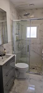 a bathroom with a shower and a toilet and a sink at Gîte de la Basilique Â 10 Minutes du Château in Blois