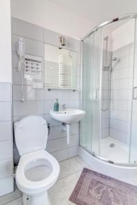 y baño con aseo, lavabo y ducha. en Willa Wladyslaw - centrum Krynicy, parking w cenie!, en Krynica-Zdrój