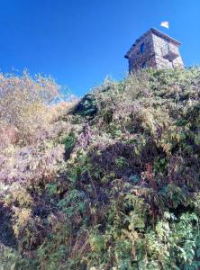 Gallery image of Hotel Veshagi in Jut'a