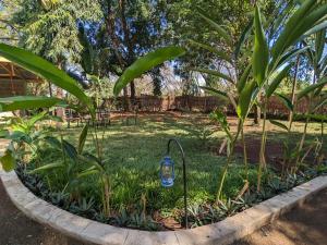 a bottle of water in a garden with plants at Karibu Homestay Moshi in Moshi