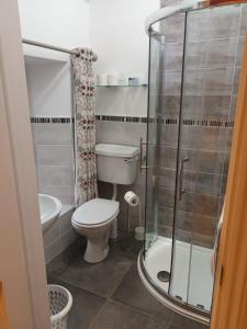 a bathroom with a toilet and a shower at Annascaul House in Anascaul
