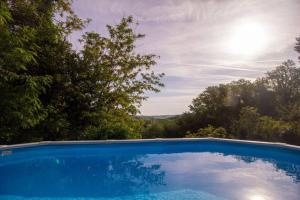 ein blauer Pool mit Bäumen im Hintergrund in der Unterkunft Appartamento con piscina e giardino - Olivo in Ghizzano