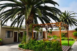 a palm tree in front of a house at The Mole Guesthouse in Swakopmund