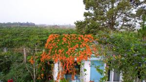 uma casa com um ramo de flores em cima dela em Maian Natural Farm em Bao Loc