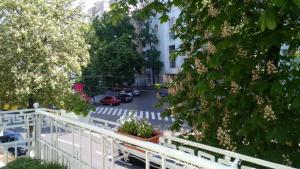 Fotografie z fotogalerie ubytování Maison Blanche Kyiv city center v Kyjevě