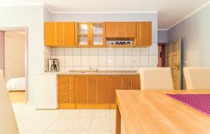 Gallery image of Apartments Stojanovic in Vir