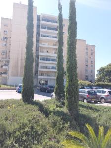 Imagen de la galería de Sanny Bay, en Qiryat Yam