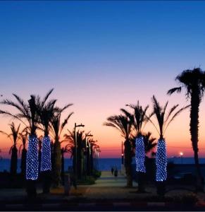 Qiryat Yam的住宿－Sanny Bay，日落前有灯光的棕榈树群