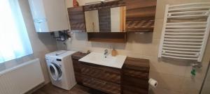 Kuchyňa alebo kuchynka v ubytovaní Gyöngyvirág apartman delux