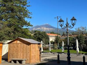 un cobertizo de madera junto a una lámpara de la calle y una montaña en Casa dolce casa en Trecastagni