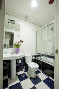 a bathroom with a toilet and a sink and a shower at Hotel Molinos in Granada +78 photos