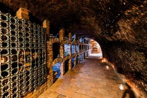 Fotografie z fotogalerie ubytování Penzion Černý Sklep v destinaci Dobšice