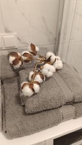 ドルスキニンカイにあるMEŠKUTĖS APARTAMENTAIの花の山
