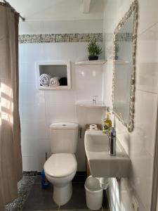 La salle de bains est pourvue de toilettes blanches et d'un lavabo. dans l'établissement Studio cosy rez de jardin à 10 mn des plages, à Baie-Mahault